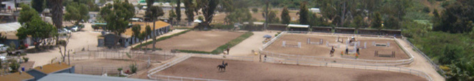 Adult Riding Lessons